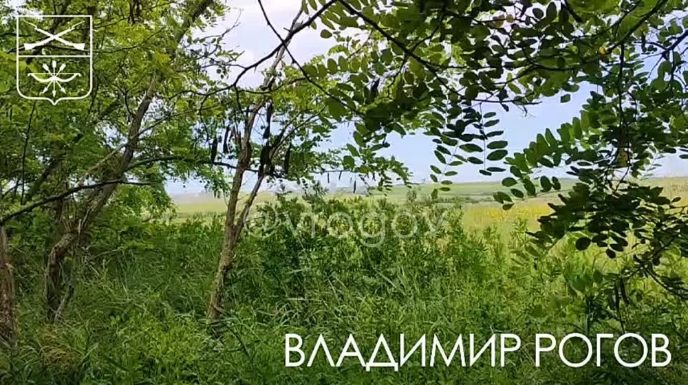 �������� �����: ������� ������, ����� �����