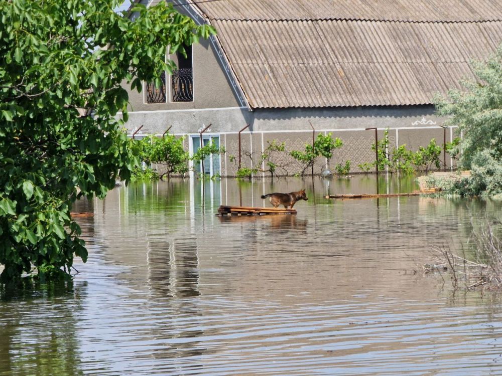 ������������ �� ���������� ������ ���������� �� ��������� � 13 ����