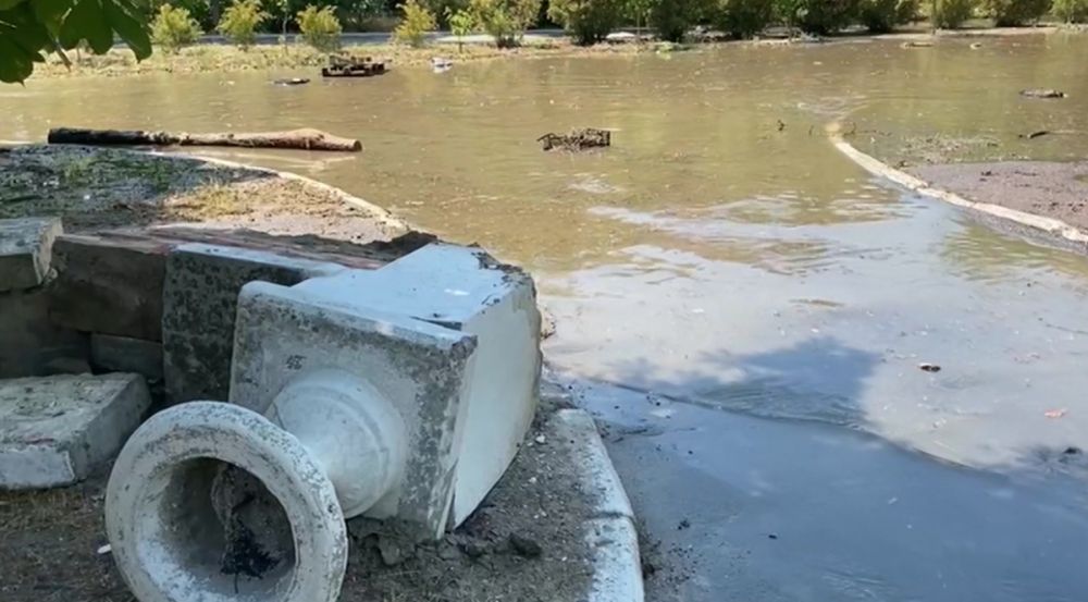 ����� ������ � ���� ��������� ����� ���� ��������� ��� � 16 ����