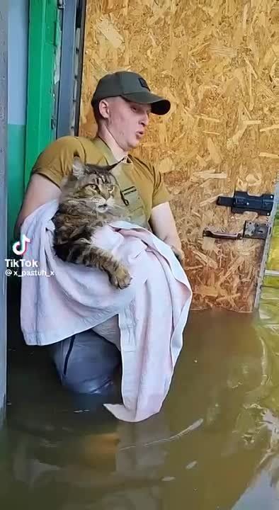 � ���������� ������� ���������� ������� ������ � ������� ��������� ����-����