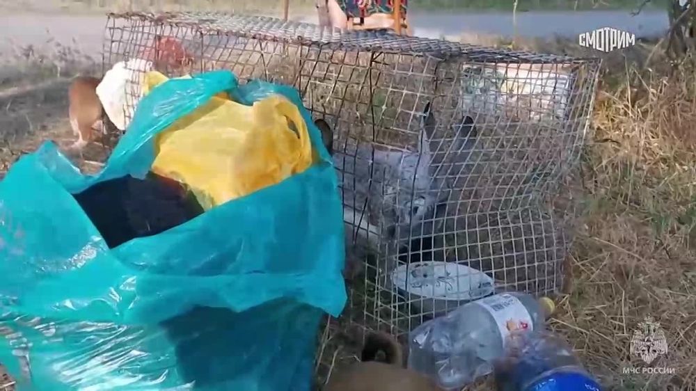 � ���������� ������� ���������� ��� ���������� ��������� ������ ����������� � ������������ ������� ������� �������