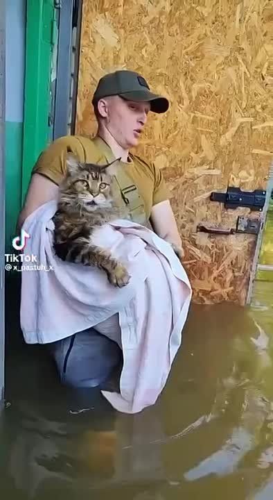 ���� ���������: �������, ����� ���� ������� � ���������� �������