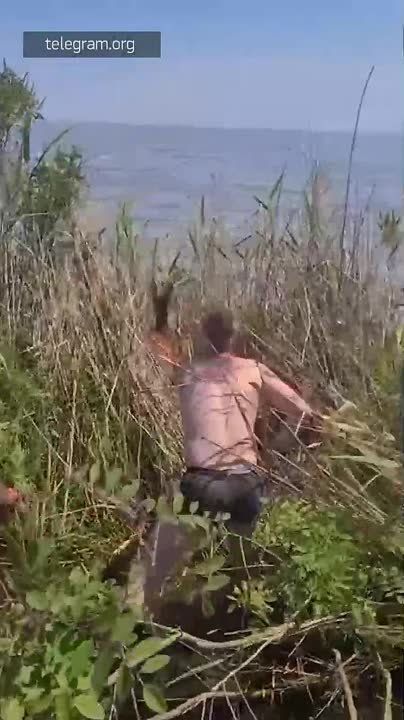 ����� �� ����� �� �������� ������� � ��������� ��� �������