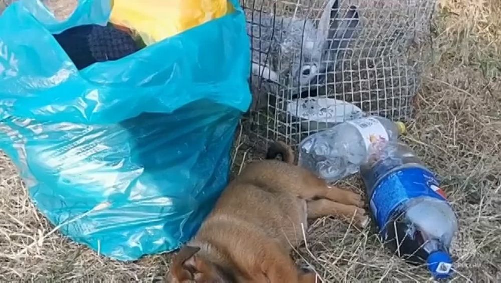 � ����������� ���������� � �������������, ���������� � ��������������� ������� ������������ ����� 6 ���. �������