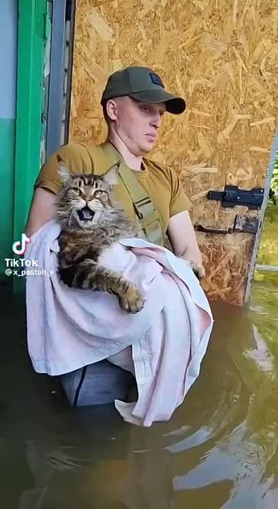 ���� ���� ������...