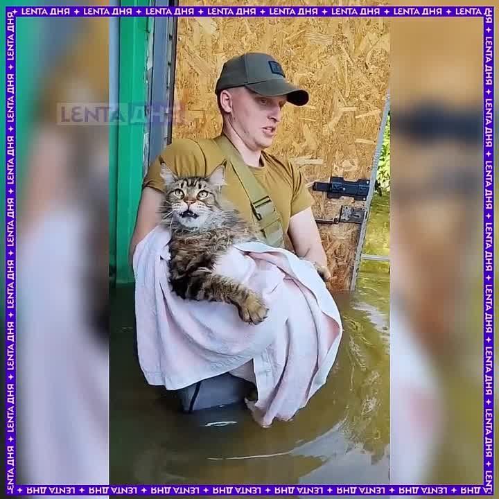 ���� ��� ���-�����: ��������� ������ ������ �� ������������ ����