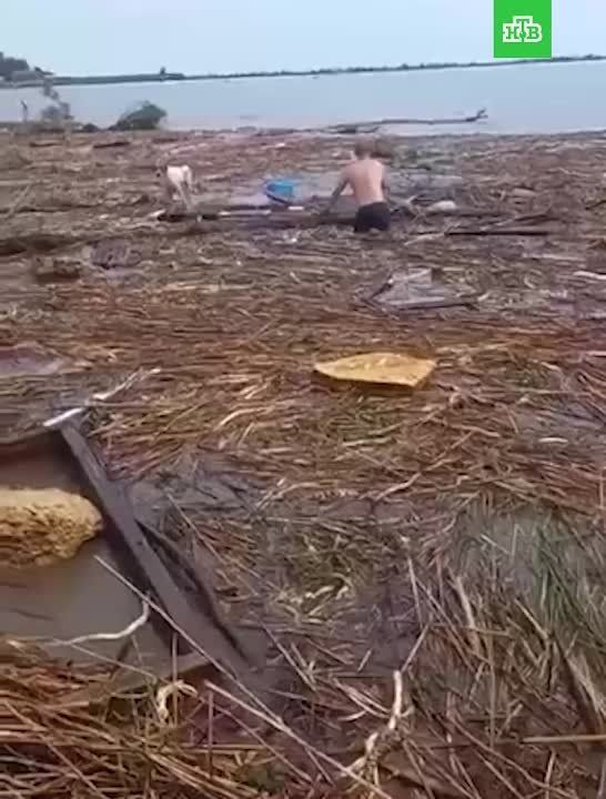 ��� ������� ������ ������ �� ���������� �������, ���������� 140 �� �� �������� ����