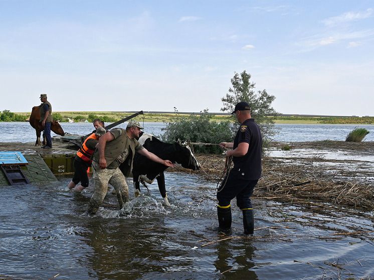 ����� �������� � ����� ����� ������