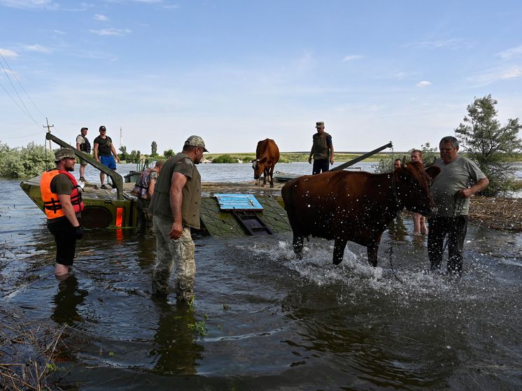 ����� � ���������� ������� ��������� ������������ �� ����������� ����� ��� ����������