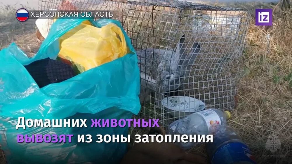 ��� ������ ��������� ����������� ��� ���������� ����������� ���������� ��������� ��� � ������������ ������� ���������� �������