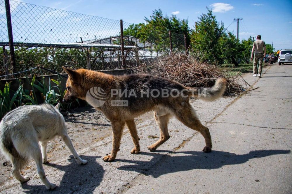 ���� ��������� ���� � ���� �������� ���������� �������