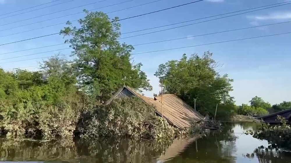 � �������� �������������� ���������� ������ ������������ ������������ ��������