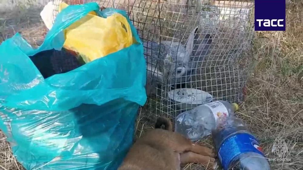 ��� ������ ��������� ��������� ��������� ����������� ��������� � ���������� �������