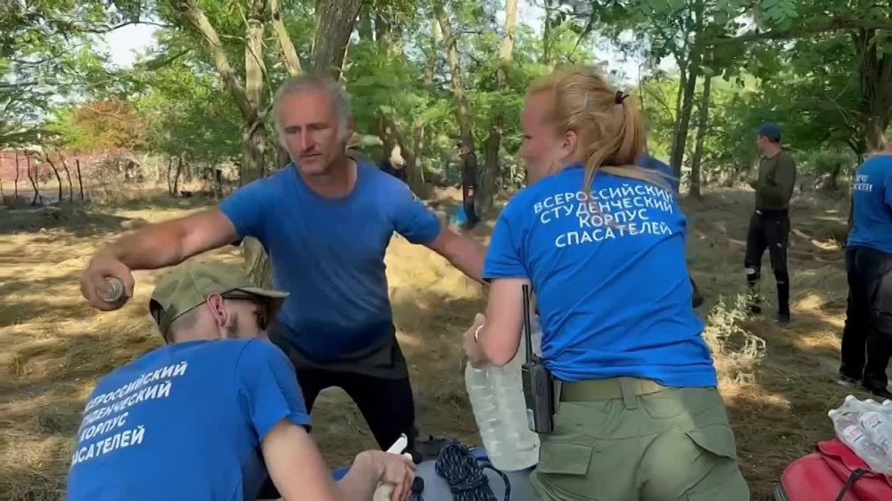 ������� ��������-����������� �������� ������� ������� �� ������������ ����������� ���������� �������