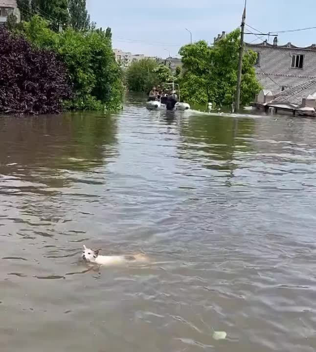 �� ��� ������ �������� ��� ���� � ������