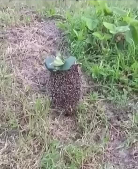 ���-�� � ������������ ���� ������� ����, �� ������� � �������� �������� ���� ���������