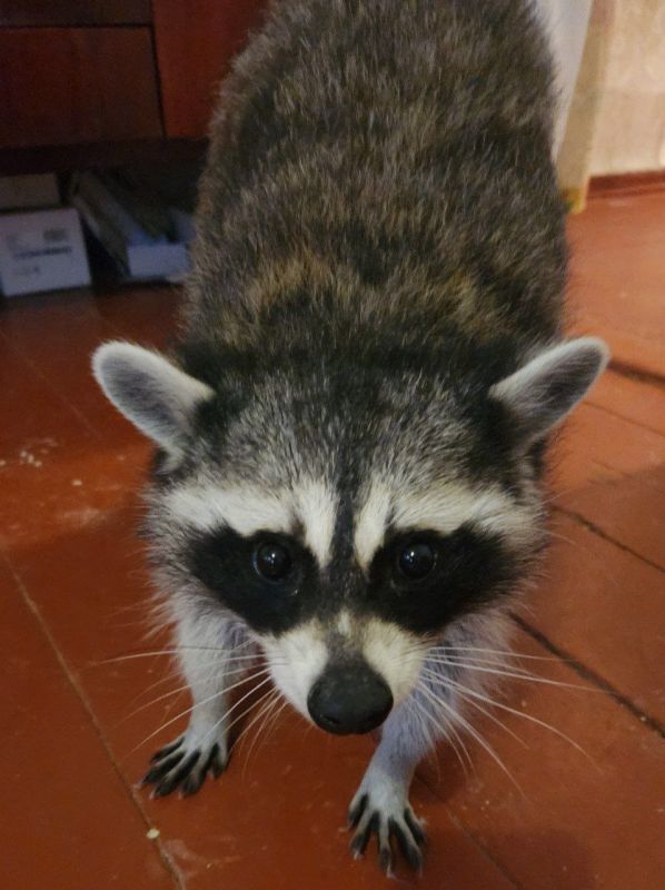 ���� �� �������: ������, �� �� � ������! ������ � ������ �������� ������ ��������� �������� ������������