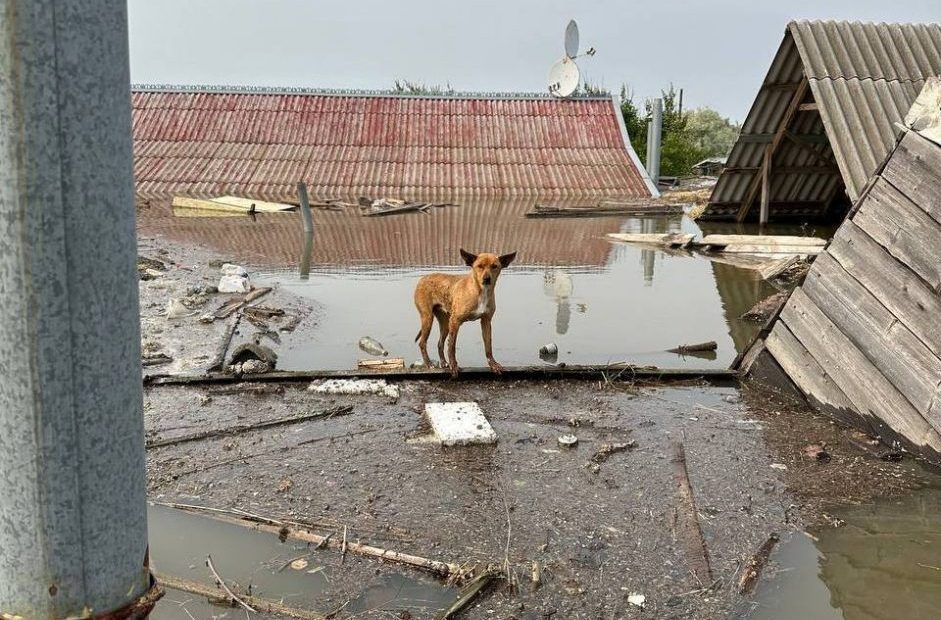 � ���������� ������� �� ��������� ������ � ���������� ������� �� ��������� ��� ���������� 22943 ������� ���� � 282 ���������������, � ����� 67 ���������� ��������