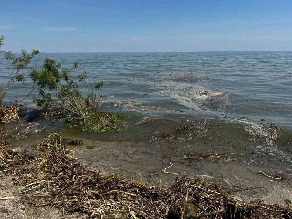 ���� ��������: ��-�� ������� ��������� ��� �������� ���������� ׸����� ����