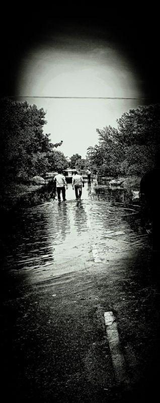 ����� ��������. ����������