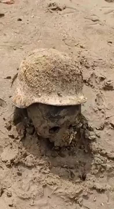 ����� ��������� ���������� ������������� ���� ����� �������� ����� ������� ������������� �����