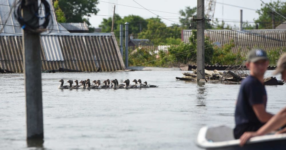 ������� ����� ������������ � ����� �������� ����� ����������