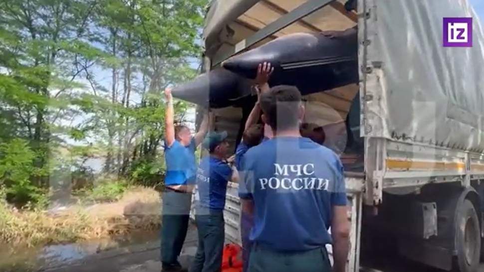 Более 23 тыс. жилых домов оказались подтопленными из-за прорыва Каховской ГЭС