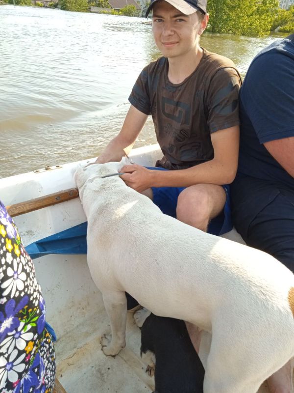 ������������ �������� �� ����� ���������� ����������� ������-����������� ������������� 10.06.2023 ����, �� ������ ��������� ���� �. ������, ��� ��� ������� ������� ������� ����������, ���� ������������ 19 ������� � ���������� �����