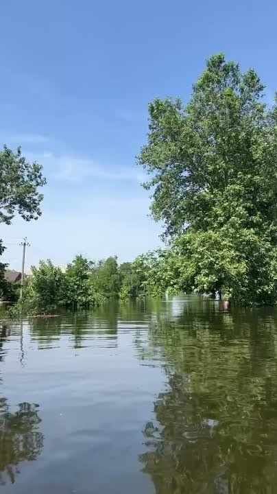 �� ������ ���������� ������� ����������� ���� ������ ����� ��������