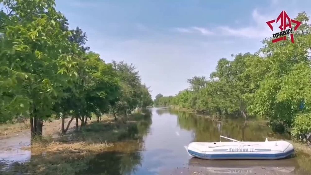 9 ���� �������� �� ������ � ���� "������ �����" ����������� ������������ ������ � ����� �������� ���������� �������