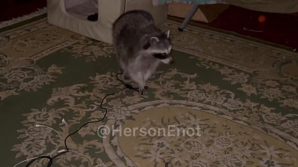 ���� �� �������: ������� �� ����� ��������� ���