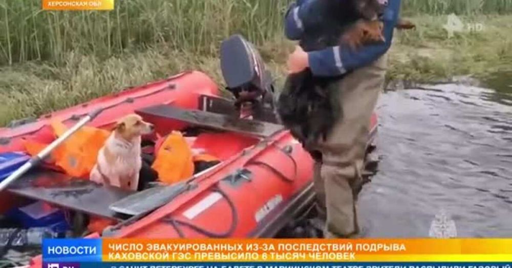 ������������� � ��������� �������� 50 ����� ���������� ���� � ����� �������