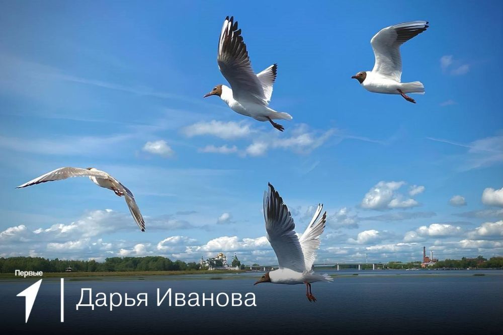 ����� ������� ������ � ��������� ������