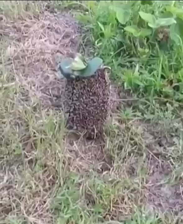 ��� ��� ��������� �������������, ��������� ����� ���������� �������������, ������ � ������ ��������� ������� �������� �� �������� ��������