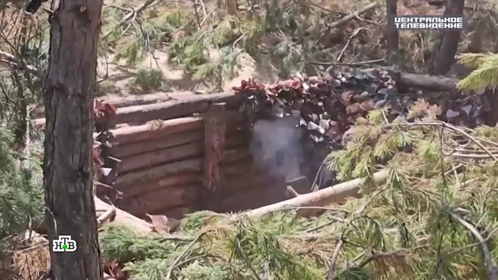 �������� ������������� ������������ � ���, ������ ������ ����� �� ��������� ��� ����� �� ����� ���� ������� ������