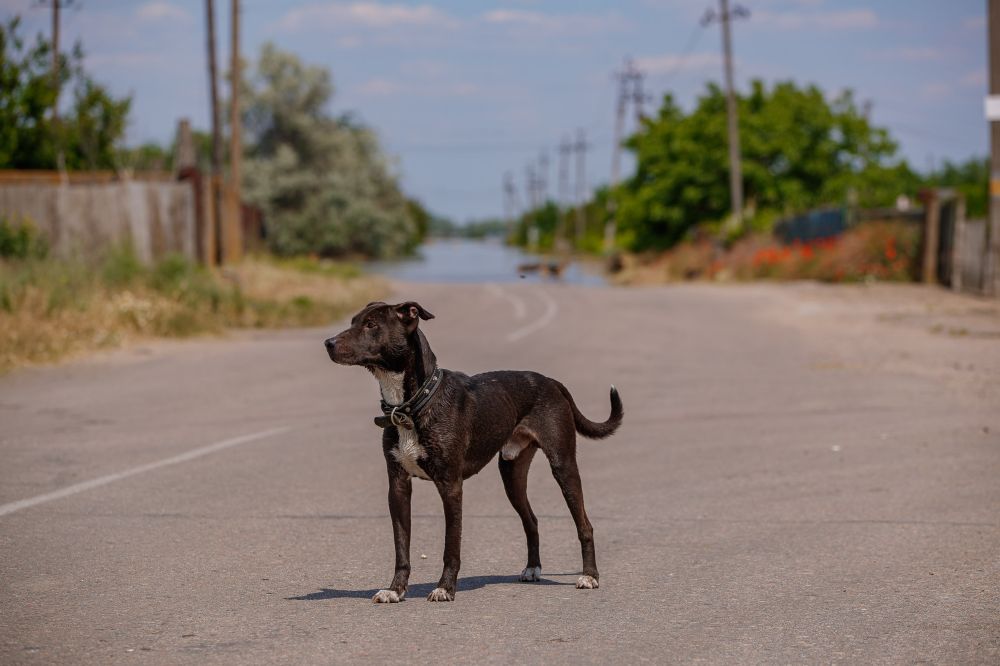 � ����� ������� � �������� ���� ��������� ���� � ����