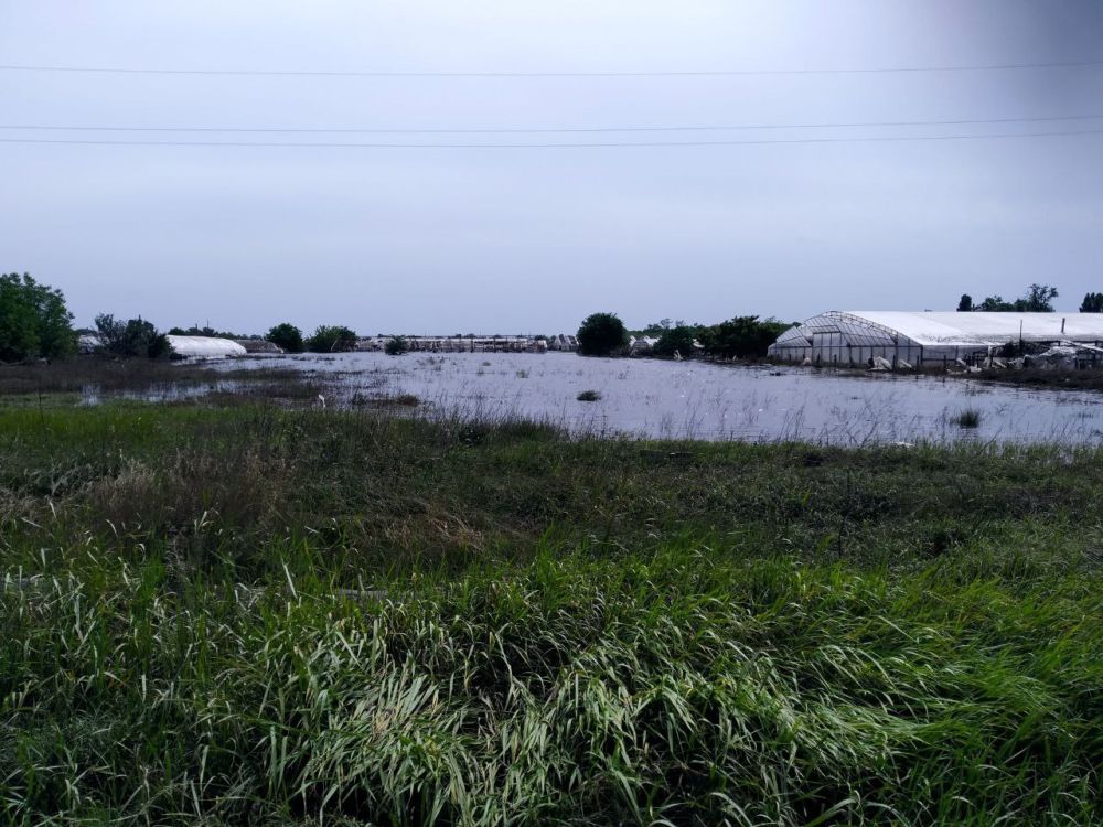 ������, ������� ���������� ����������