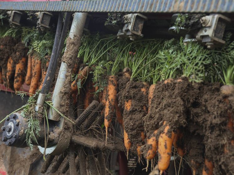 � ����� ������� � ������ �������� �������� ��-�� �� �� ��������� ���