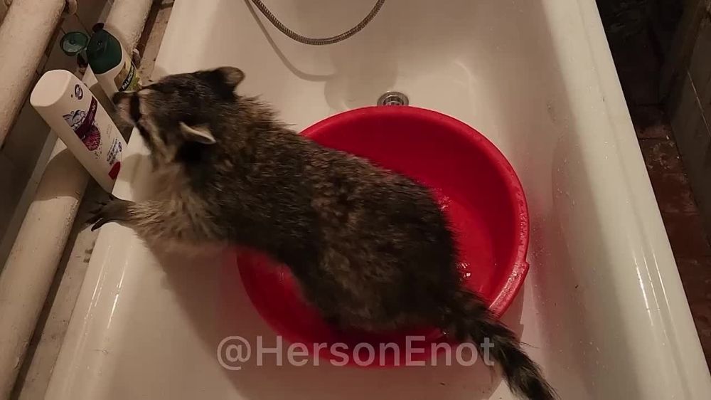 ���� �� �������: ������� ����������� ����� �� ����� �������� ���������, �� ���� ������� ��������� �������