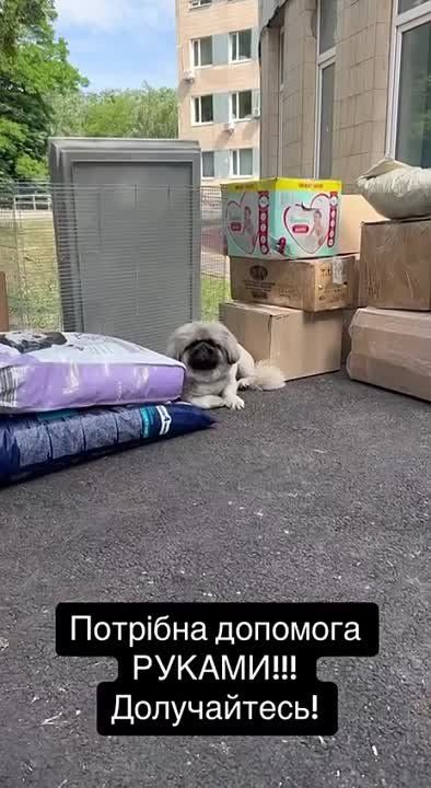 �������� ����������: �������� �������� �������� �� ���������� ������� �������� ������ �������������