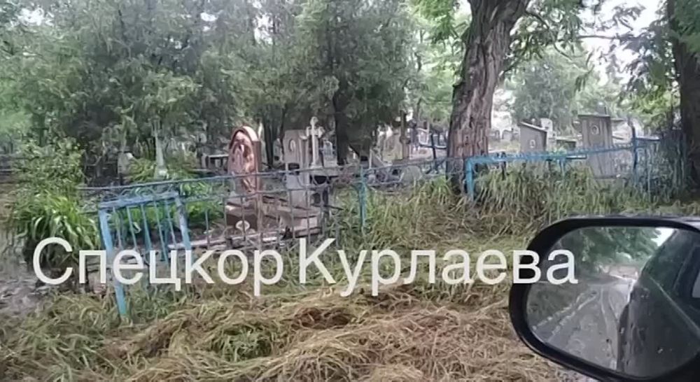 ����� ��������: ���� �� ���������� ������������� ������� �������� �������� � ��������