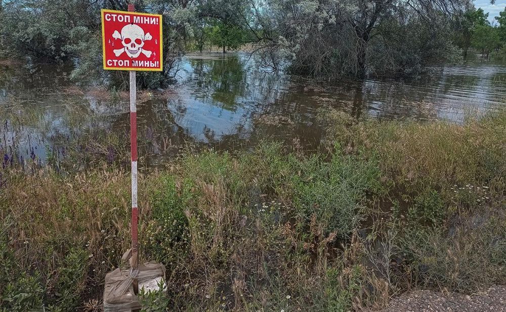 ������ �������: ��� ��� �������� ��� ��� ������ ������� ����� 2014�2022 �.? ������