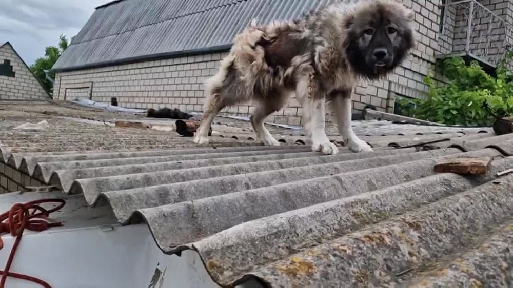 � ������� ������ ������ � ��������, � ����� ��������� ������, ��������� � �����������