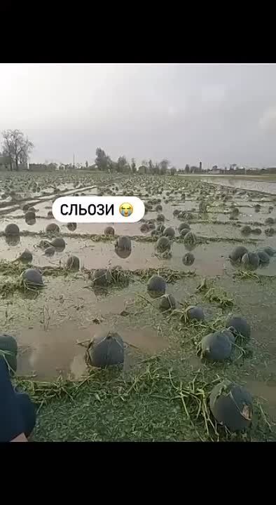 ���� ������� � ���������� �������