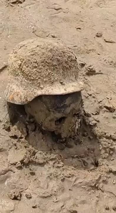 ���� ��������: ��� ����������� ���������� ������������� � ��������� ������� ����