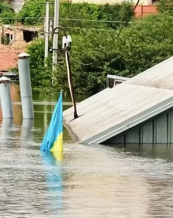 �������� ����������� ���� ��� �� ����� "�� ������ " �� ������� ������ ��������� ��� ������� ��� �� ���!��� �������! ��� ������ �����������