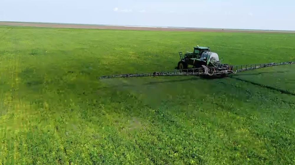 ����� ����������: � ���� ������!. ������������ ��������� ������� ������ � ���������� ������� ����������� ������� � ����������!