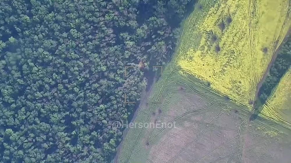 ���� �� �������: �������� ���������� �������� ��������������� ��������-������� ������