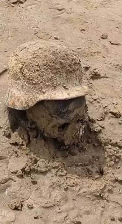 ����� ������� ��� � ����� ����, ��� ���������� ������ �����, � ������ �������� �� ������ ��� ���������� ������������� ���������� ������������ ������� ������ ������ ������� �����