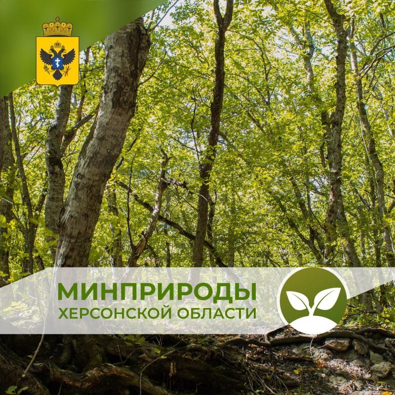 ������������� ��������� �������� � �������� ���������� ������� ������������ ������ �� ���������� �������������